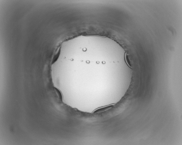 X0000115710144200911251904