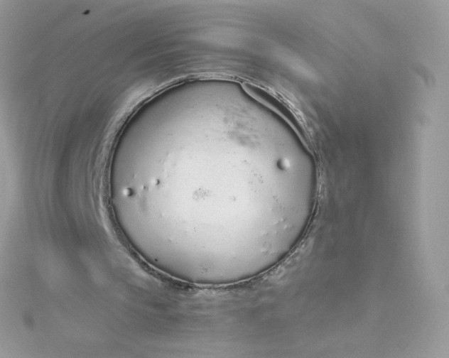 X0000115710145200911251903