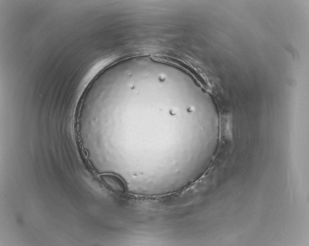 X0000115710147200911251903