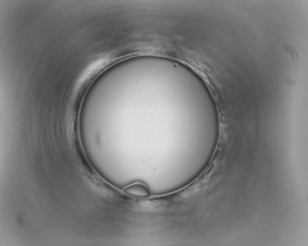 X0000115710149200911251903