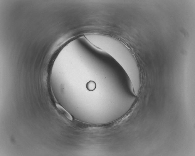 X0000115710150200911251903