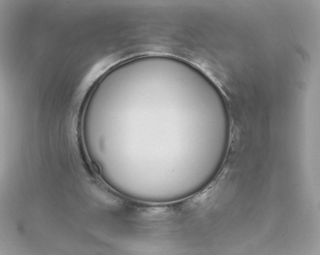 X0000115710151200911251903