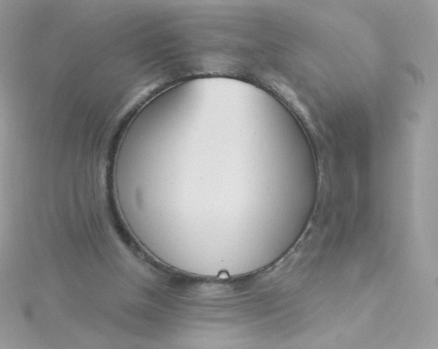 X0000115710154200911251903