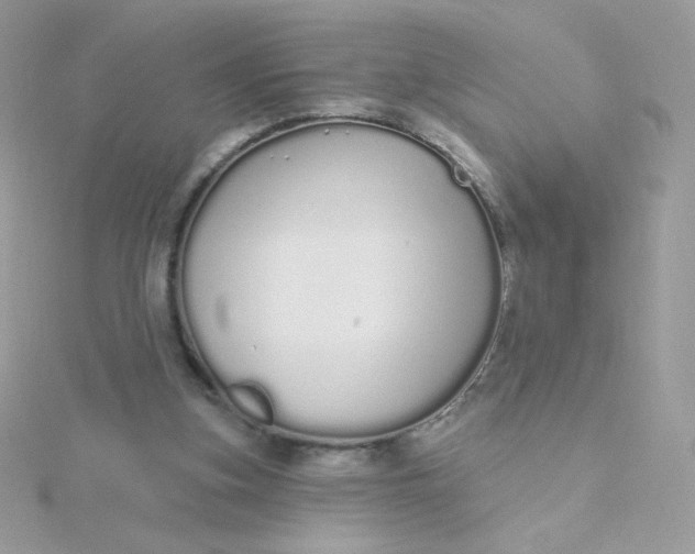 X0000115710155200911251903