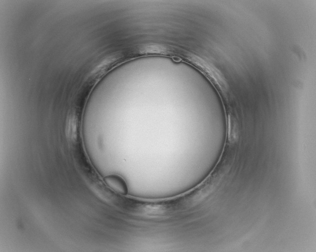 X0000115710157200911251903