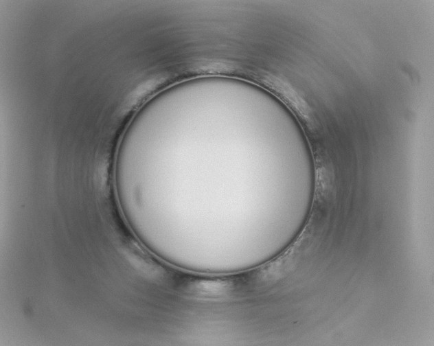 X0000115710159200911251903