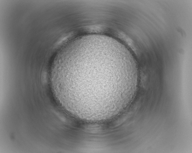 X0000115710161200911251903