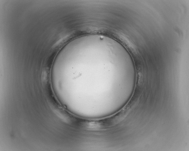 X0000115710165200911251903