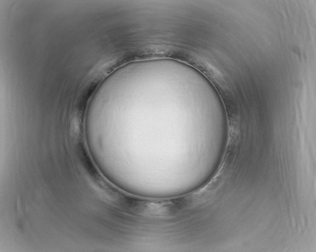 X0000115710166200911251903