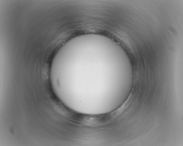 X0000115710174200911251903