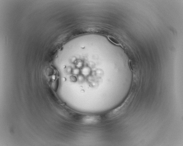 X0000115710175200911251903