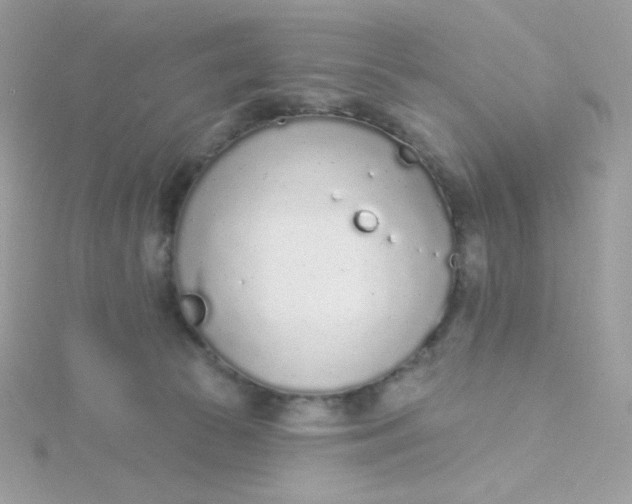 X0000115710177200911251903