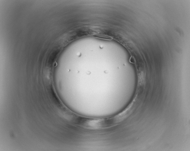 X0000115710178200911251903