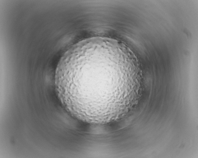 X0000115710181200911251903