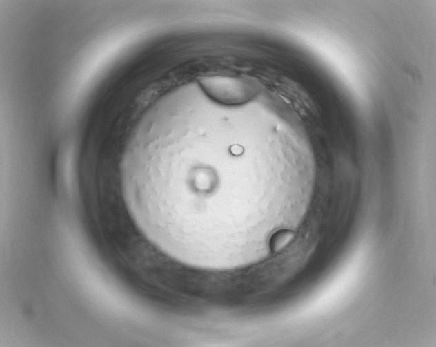 X0000115710189200911251904