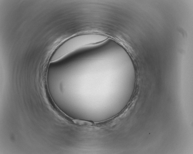 X0000115710193200911251903