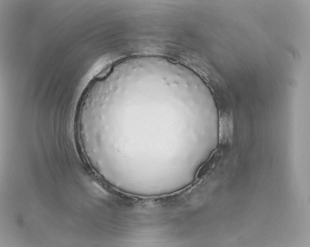 X0000115710195200911251903