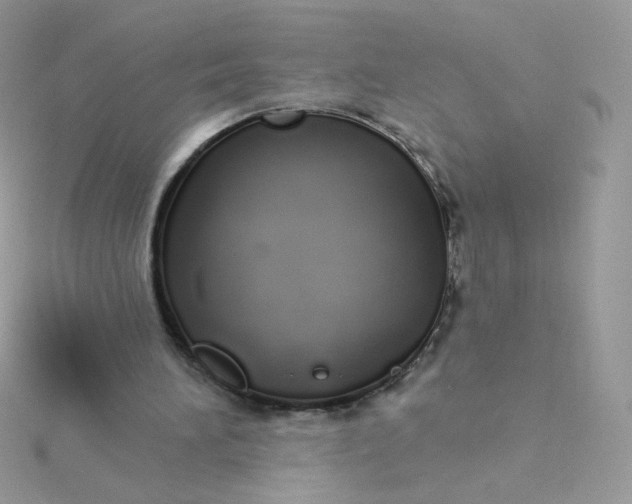 X0000115710196200911251903