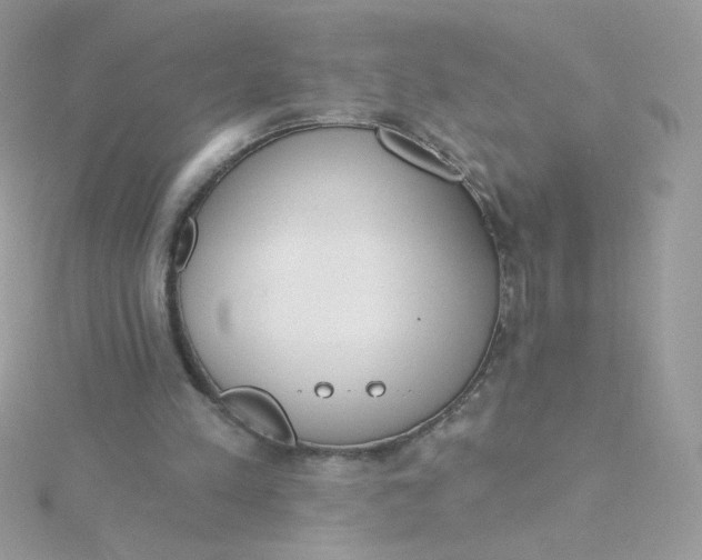 X0000115710197200911251903