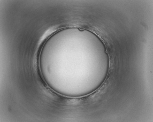 X0000115710198200911251903