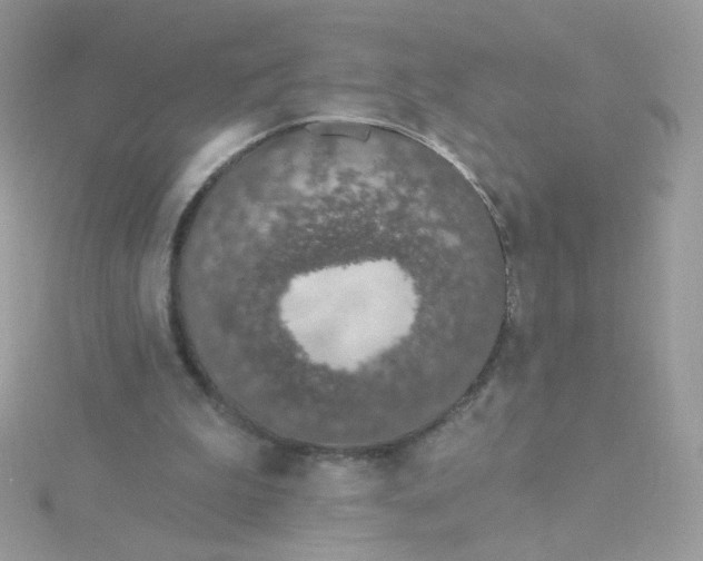 X0000115710199200911251903