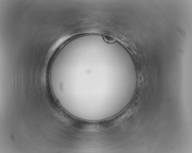 X0000115710200200911251903