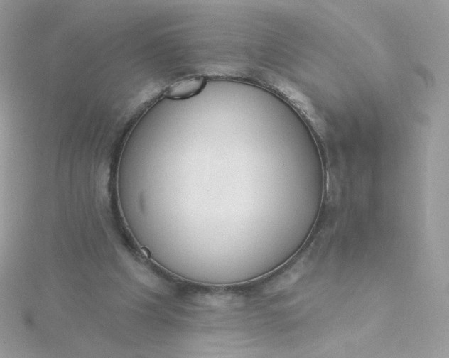 X0000115710201200911251903