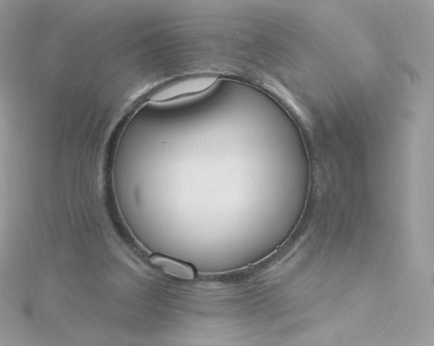 X0000115710203200911251903