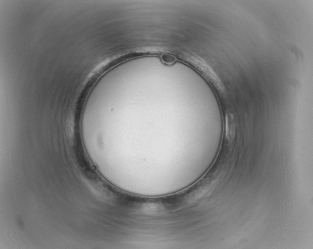 X0000115710204200911251903