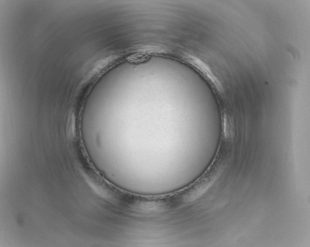 X0000115710205200911251903