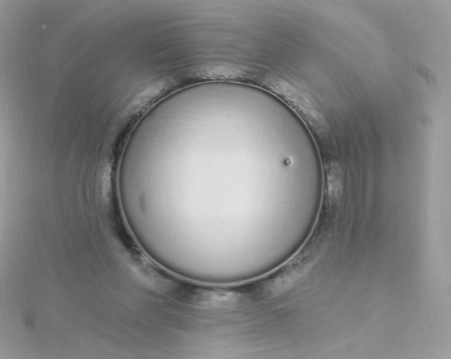 X0000115710206200911251903