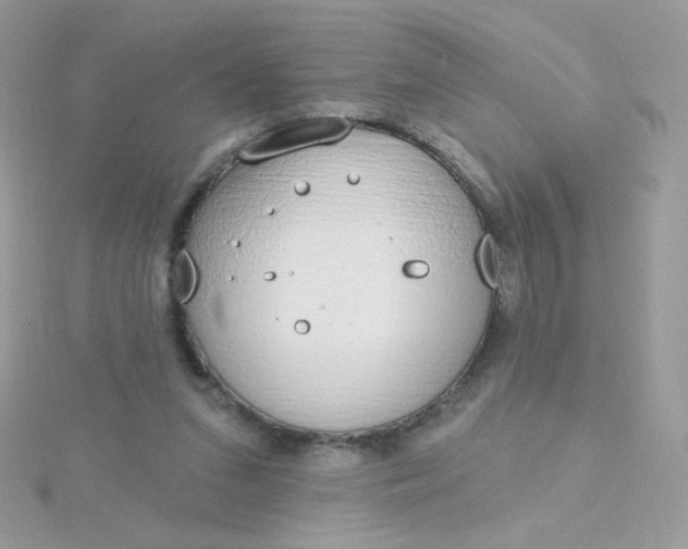 X0000115710207200911251903