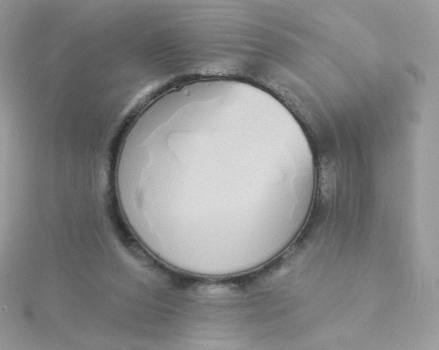 X0000115710208200911251903