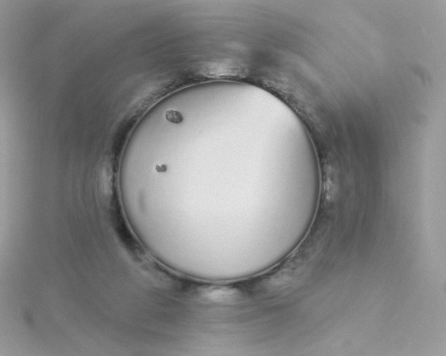 X0000115710210200911251903