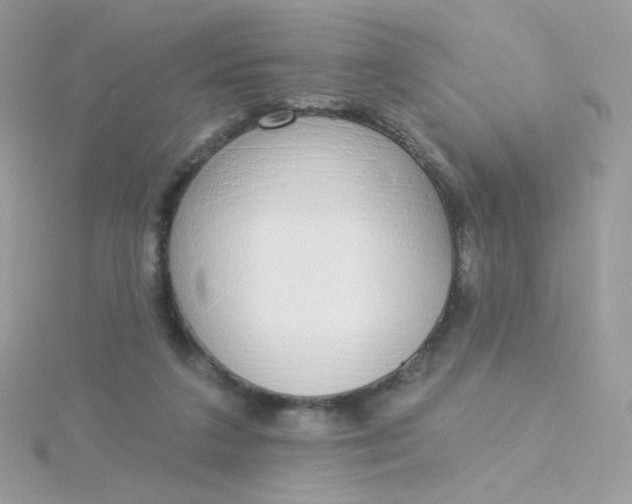 X0000115710211200911251903