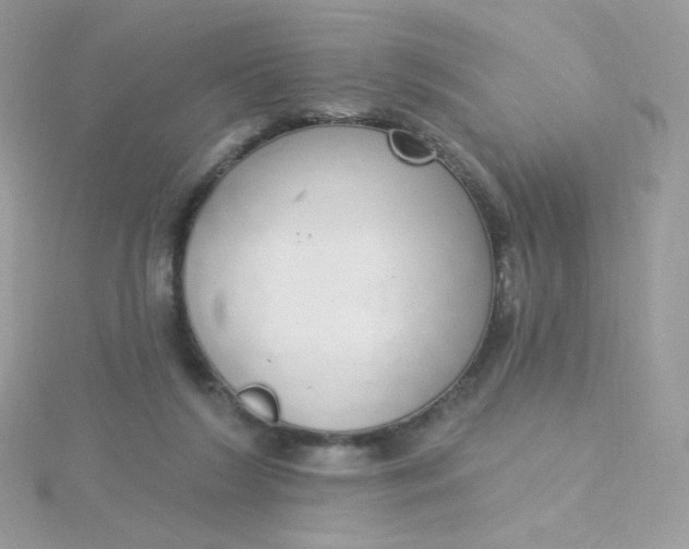 X0000115710212200911251903