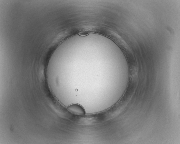 X0000115710213200911251903