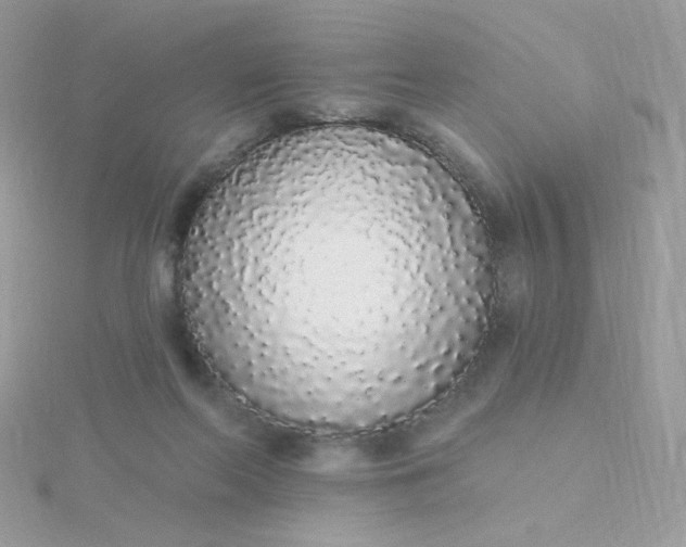 X0000115710214200911251903