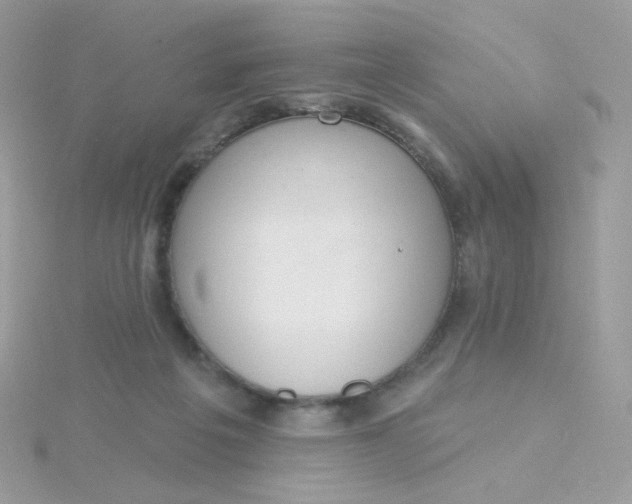 X0000115710217200911251903