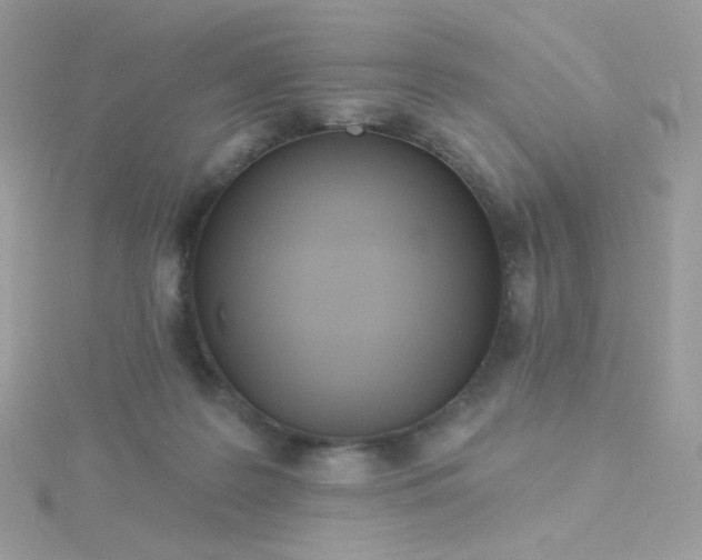 X0000115710219200911251903