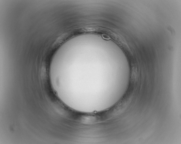 X0000115710220200911251903