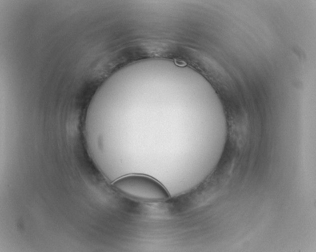 X0000115710221200911251903