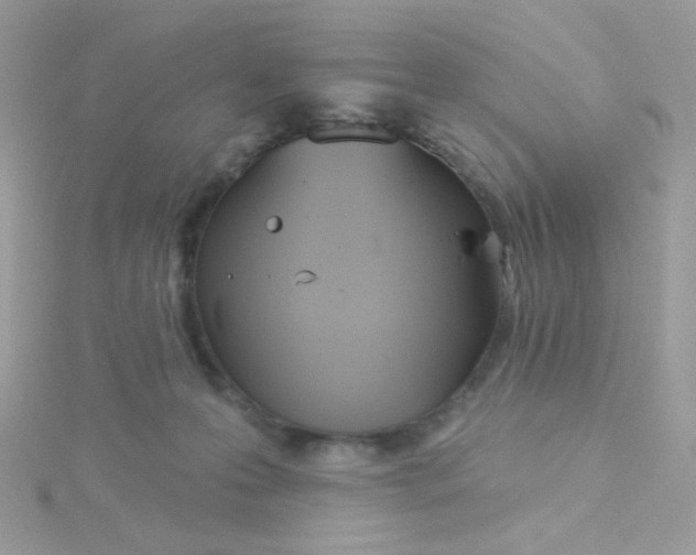 X0000115710223200911251903