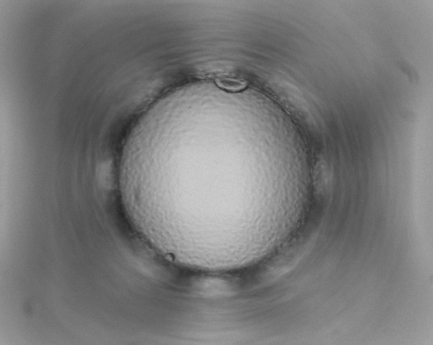 X0000115710224200911251903