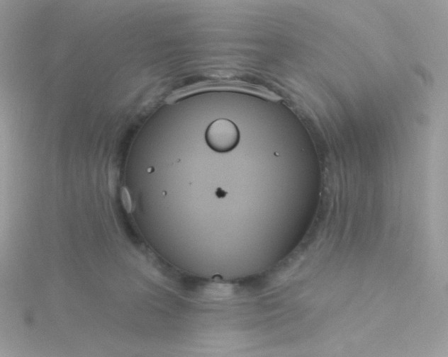 X0000115710227200911251902