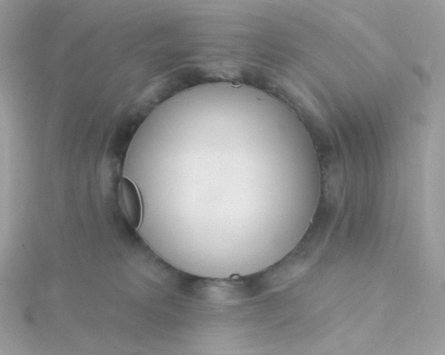 X0000115710229200911251902