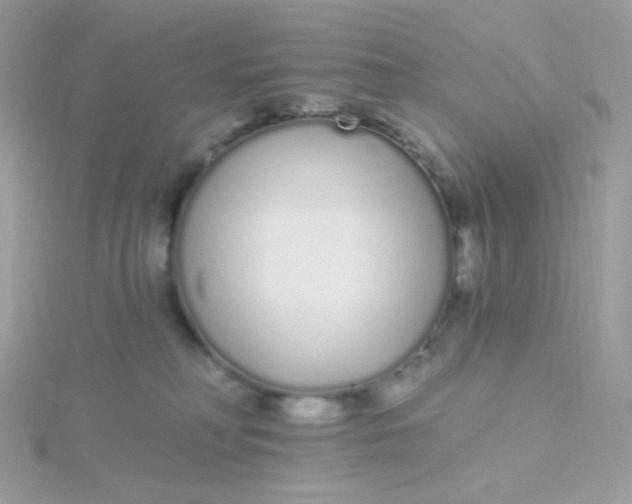 X0000115710230200911251902