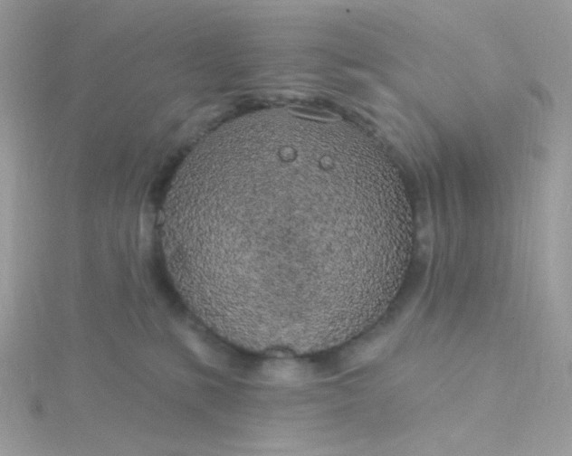 X0000115710231200911251902