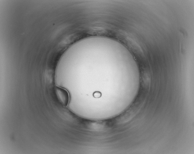 X0000115710232200911251902