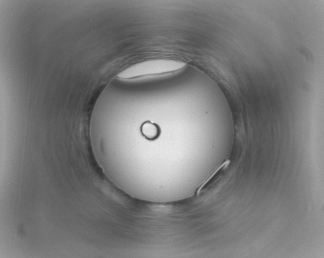 X0000115710233200911251902